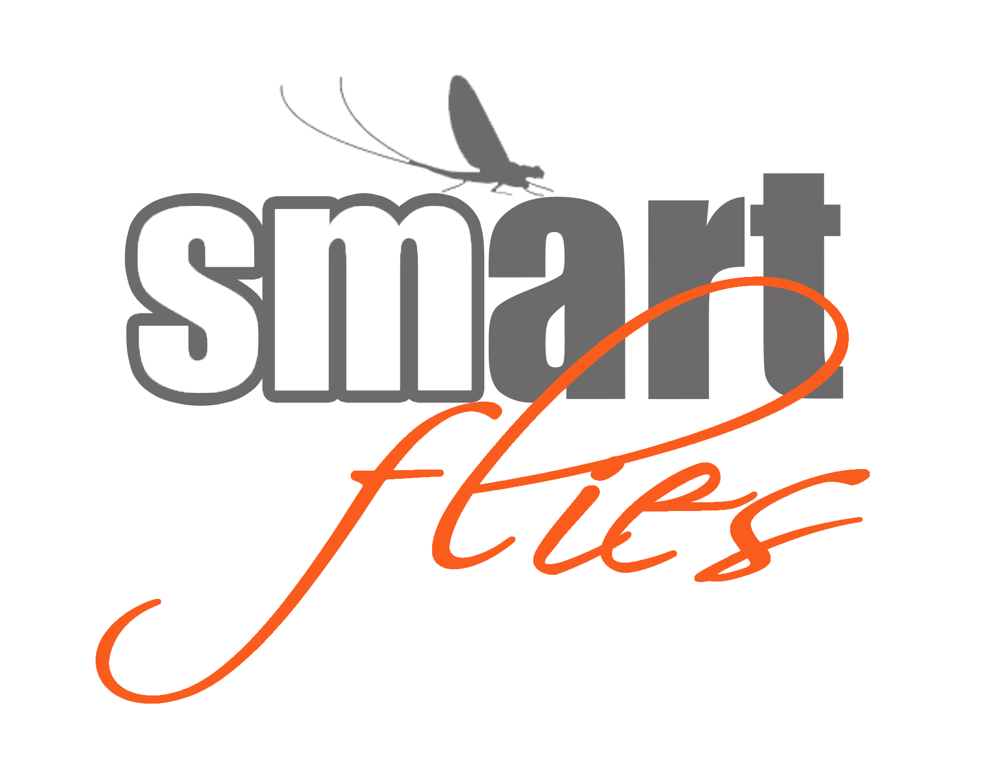 Smart Flies
